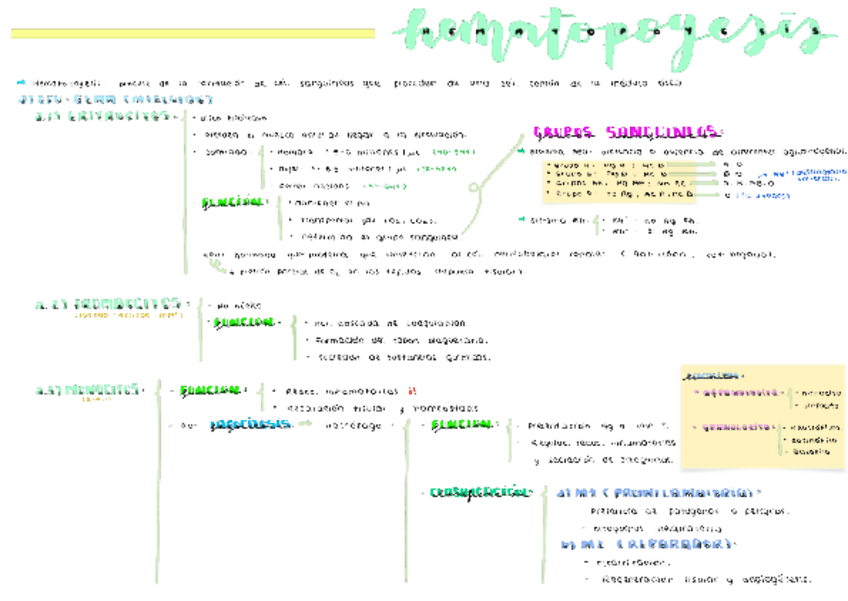Miniatura del documento ESQUEMA-T4-FCH-II.pdf