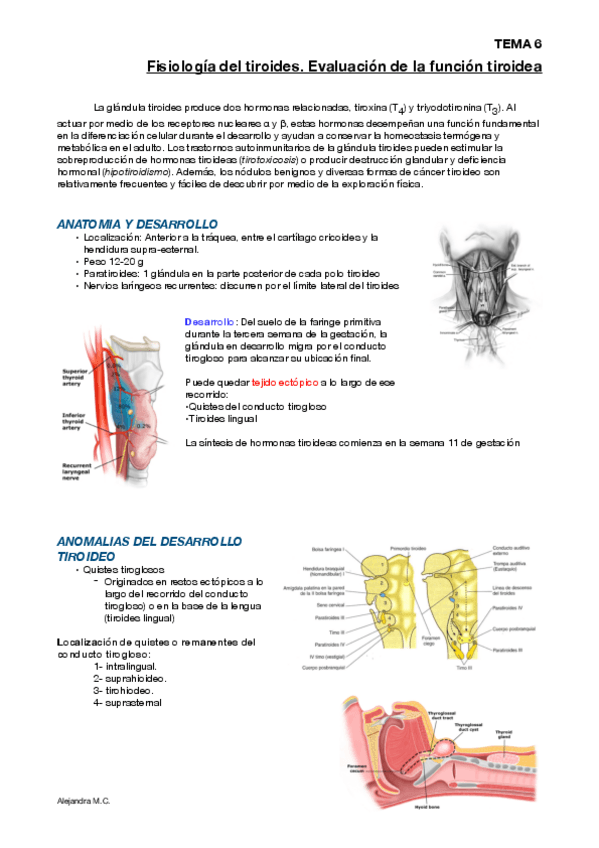 Miniatura del documento Tema-6-Endo.pdf