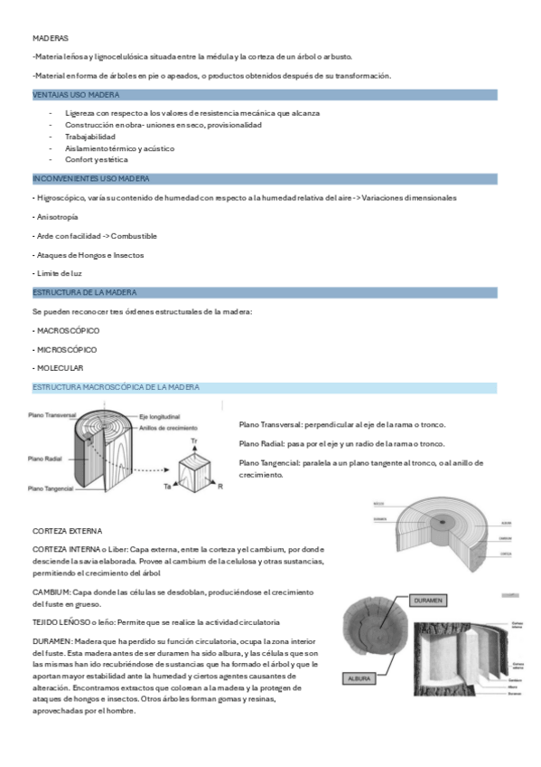 Miniatura del documento MADERAS.pdf