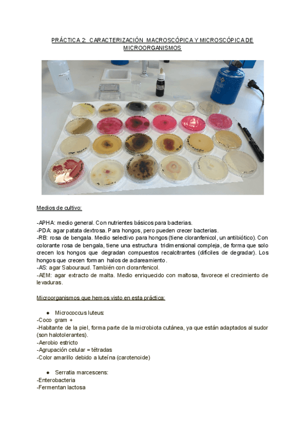Miniatura del documento PRACTICAS-BIOTEC.-MICROBIANA.pdf