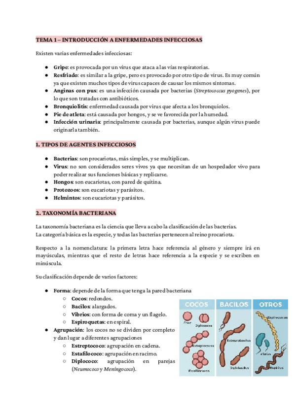 Miniatura del documento Microbiologia-Ana-Leyva.pdf