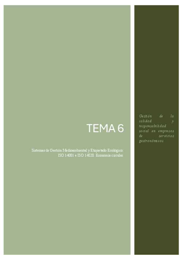 Miniatura del documento Gestion-de-la-calidad-T6.pdf