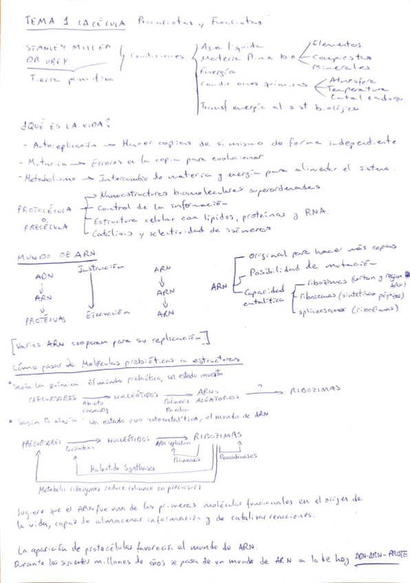 Miniatura del documento tema-1-biologia.pdf