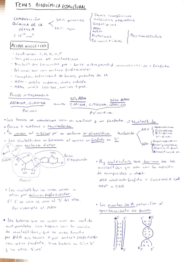 Miniatura del documento tema-3-biologia.pdf