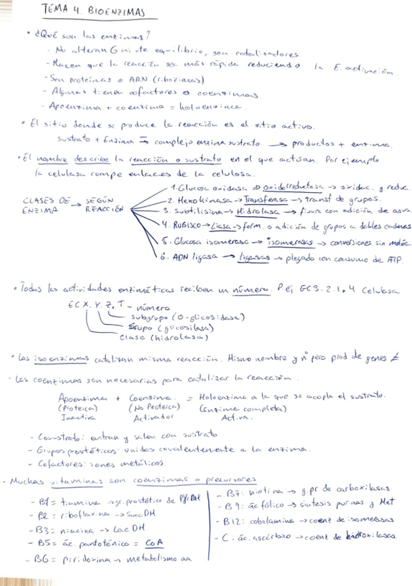 Miniatura del documento tema-4-biologia.pdf