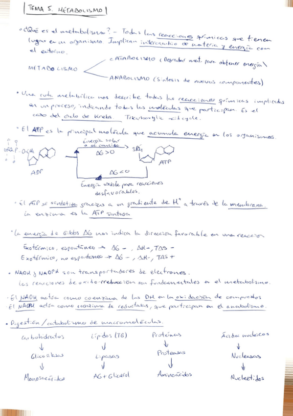 Miniatura del documento tema-5-biologia.pdf