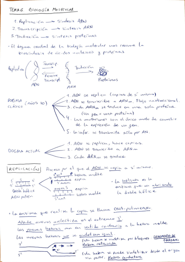 Miniatura del documento tema-6-biologia.pdf