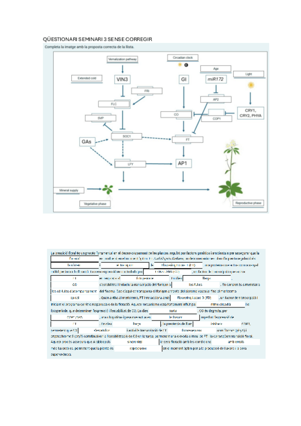 Miniatura del documento QUESTIONARI-SEMINARI-3-2,88/3.pdf