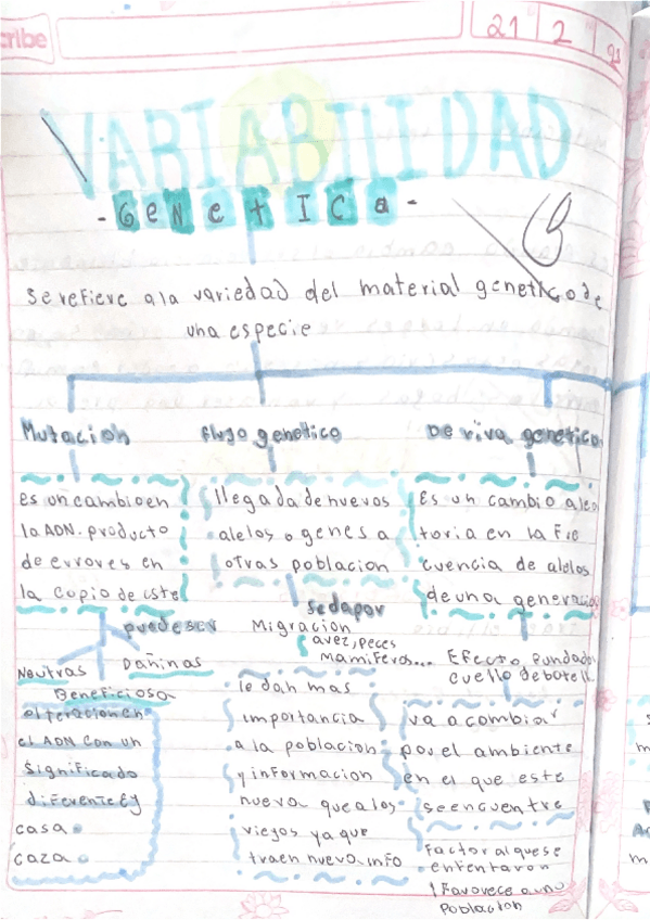 Miniatura del documento Variabilidad-genetica-resumen-y-preguntas-practicas.pdf