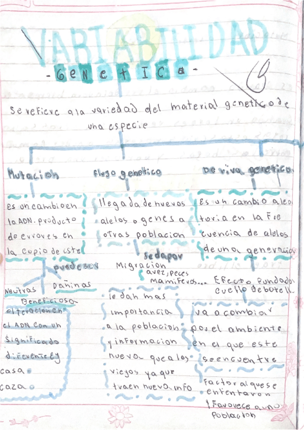 Miniatura del documento Variabilidad-genetica-resumen-y-preguntas-practicas.pdf