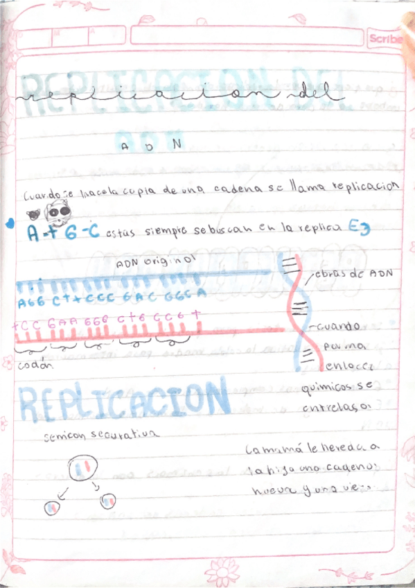 Miniatura del documento Replicacion-del-ADN-traduccion-y-replicacion.pdf