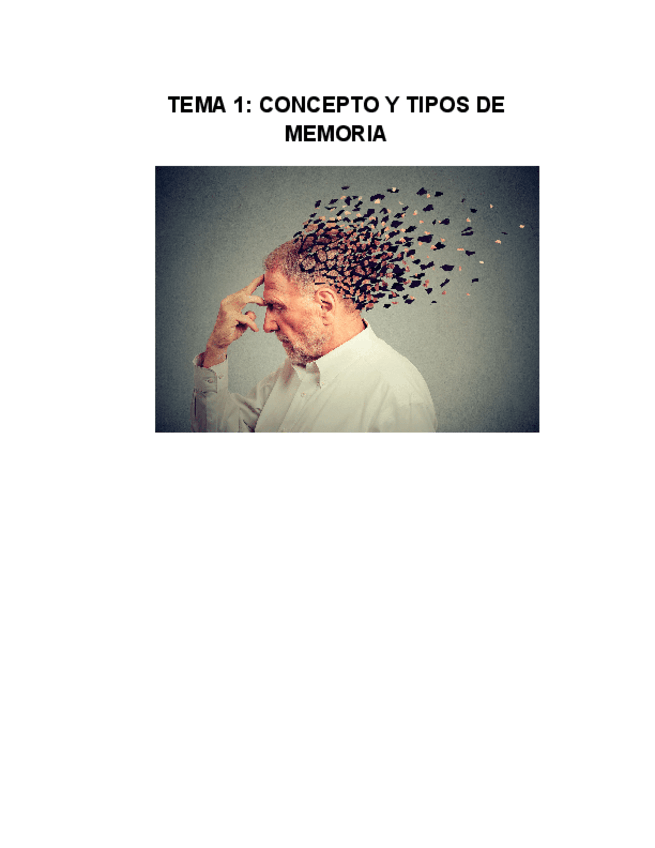 Miniatura del documento Tema-1-memoria.pdf