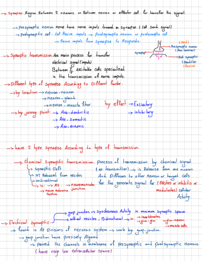 Miniatura del documento Synaptic-Transmission.pdf