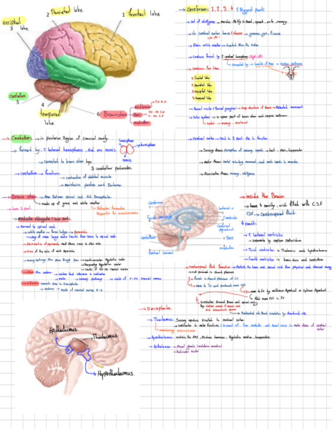 Miniatura del documento L17-note.pdf