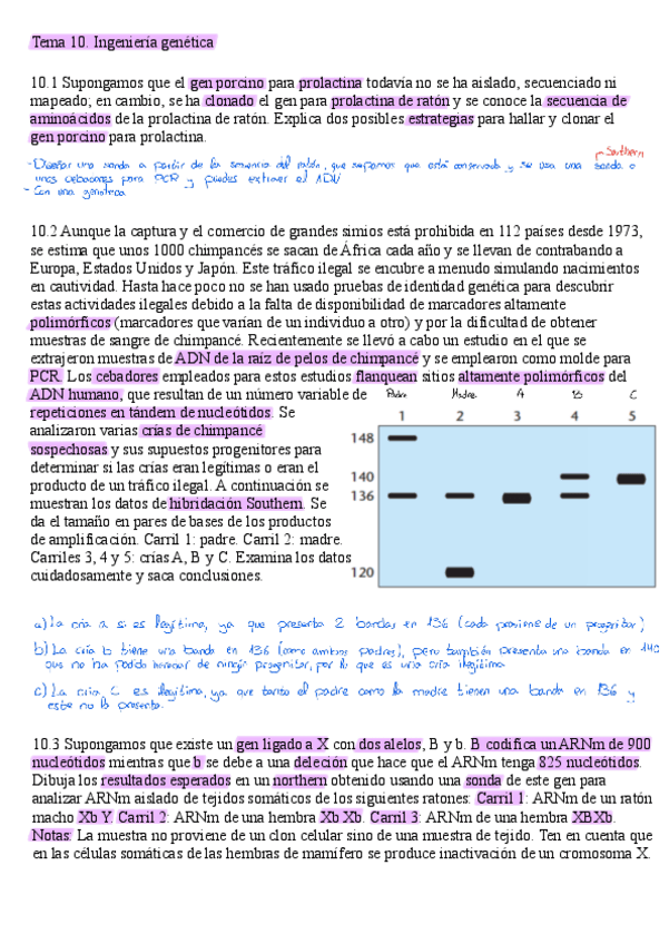 Miniatura del documento Problemas-adicionales-tema-10.pdf