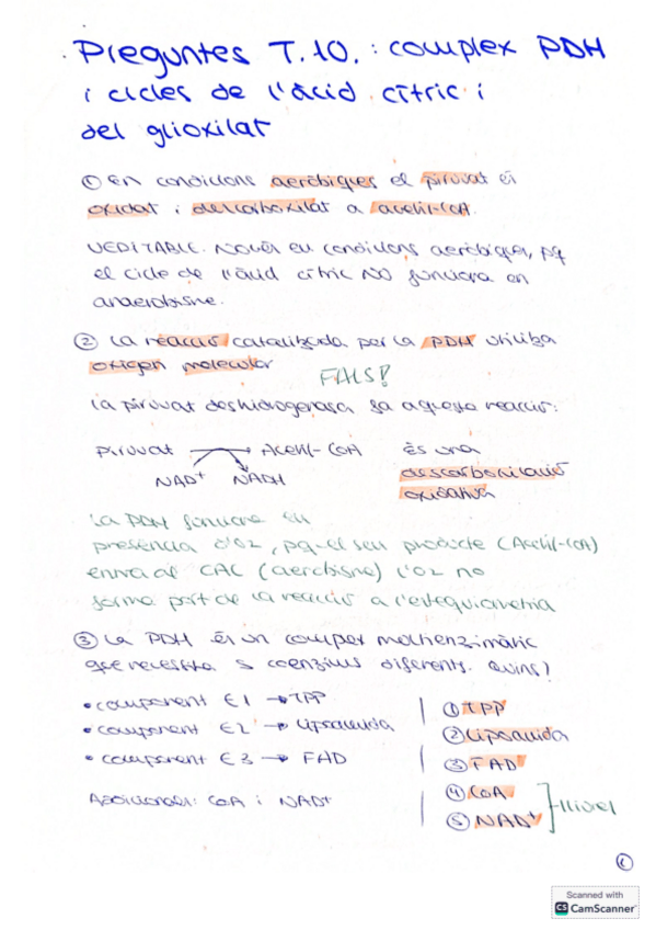 Miniatura del documento PREGUNTES D'EXAMEN T.10 CICLE DE KREBS.pdf