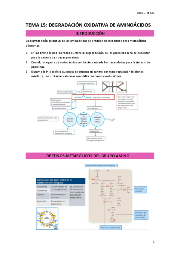 Miniatura del documento TEMA-15.pdf