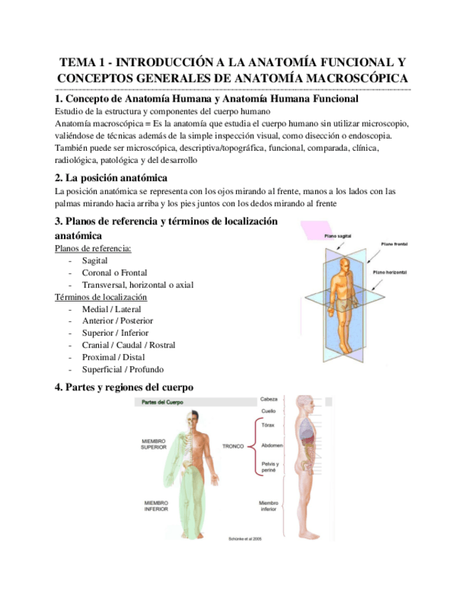 Miniatura del documento GLOBAL-ANATOMIA.pdf