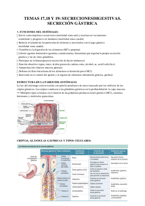 Miniatura del documento TEMAS-17-18-19.pdf