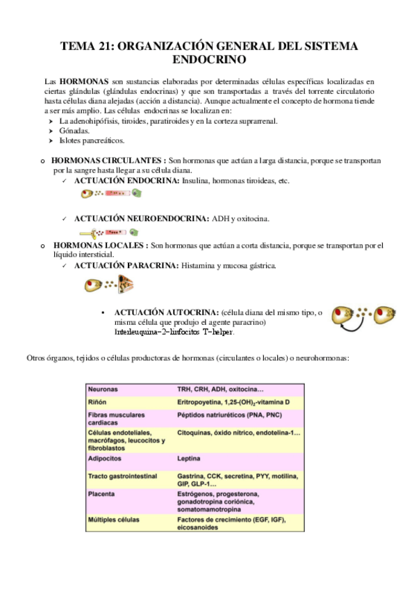 Miniatura del documento TEMA-21-SISTEMA-ENDOCRINO.pdf