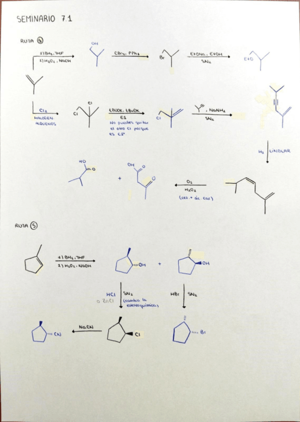Miniatura del documento seminario-tema-7.pdf