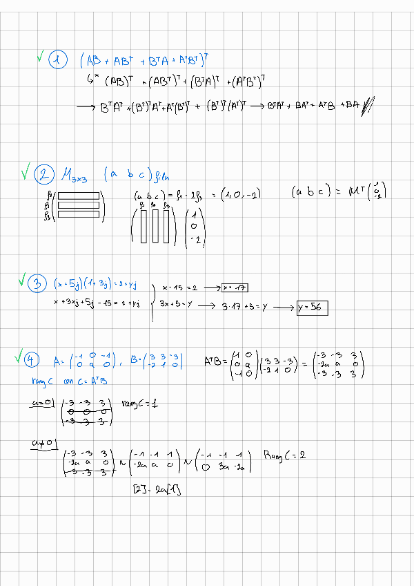 Miniatura del documento Questionari-complexos-sistemes-i-matrius.pdf