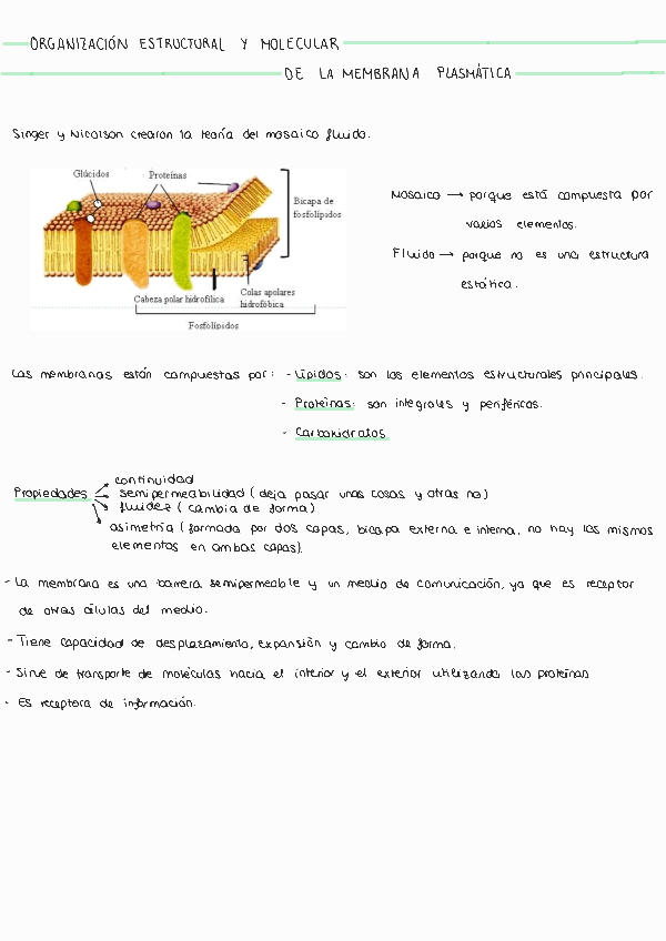Miniatura del documento Tema-2231102131520.pdf