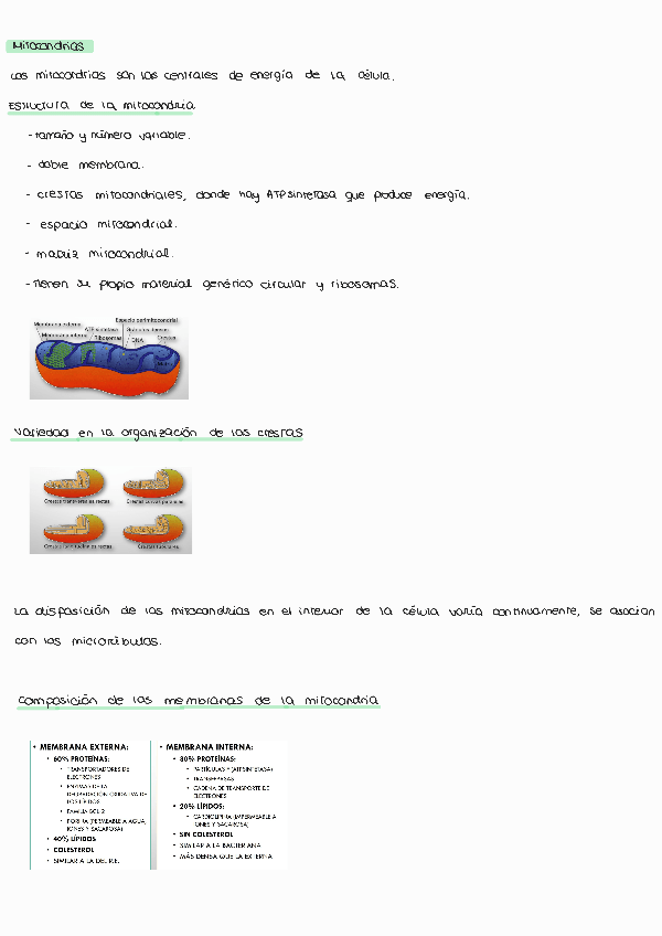 Miniatura del documento Tema-8231129133639.pdf