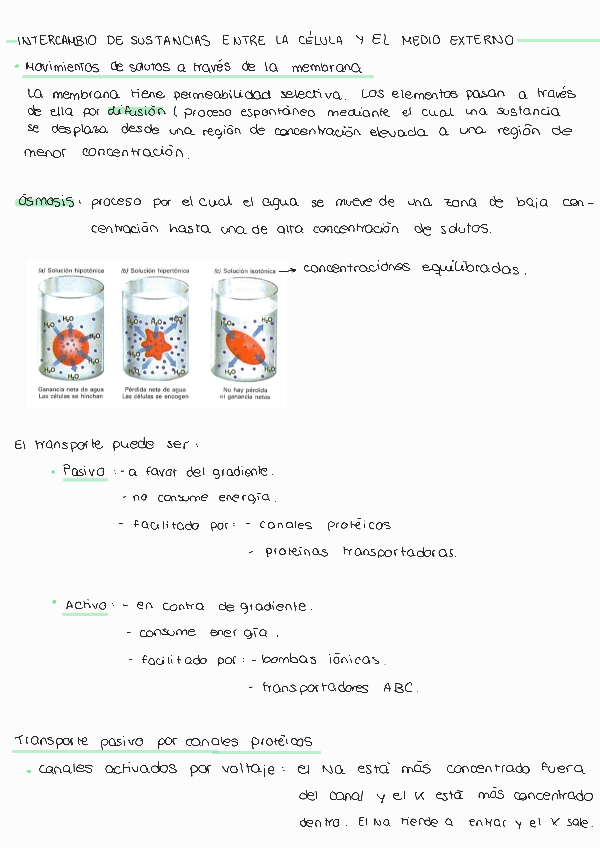 Miniatura del documento Tema-3-231107185843.pdf