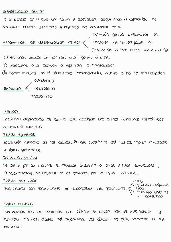 Miniatura del documento Tema-13231211093702.pdf