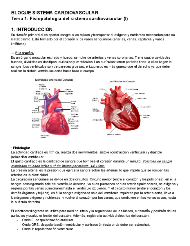 Miniatura del documento FISIOLOGIA-II-Cardiovascular.pdf