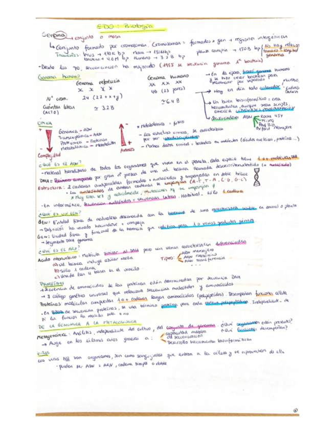 Miniatura del documento Apuntes.pdf