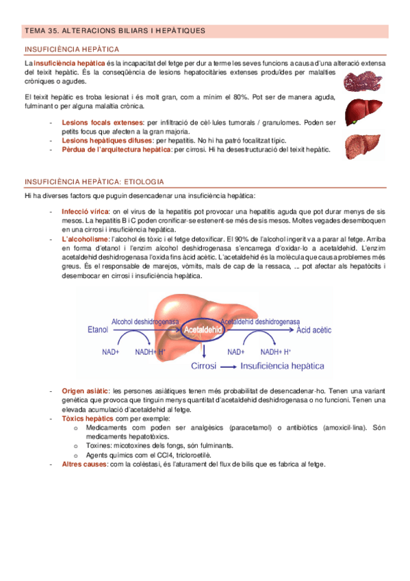 Miniatura del documento Apuntes-Bloc-VII-segona-part-FFPII.pdf