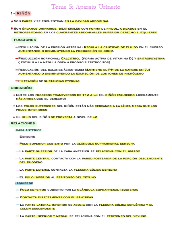 Miniatura del documento Tema-5-Aparato-Urinario.pdf