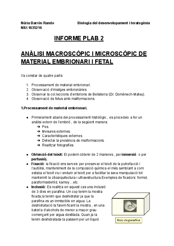 Miniatura del documento INFORME-PLAB-2.pdf