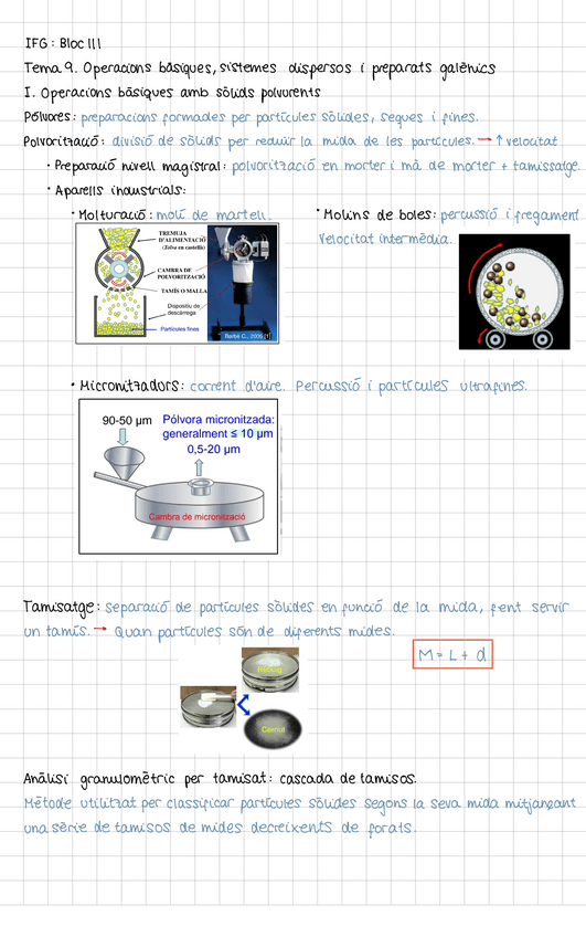 Miniatura del documento Tot-teoria-final-IFG.pdf