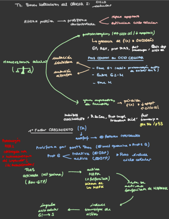 Miniatura del documento Esquema-Tema-7.pdf