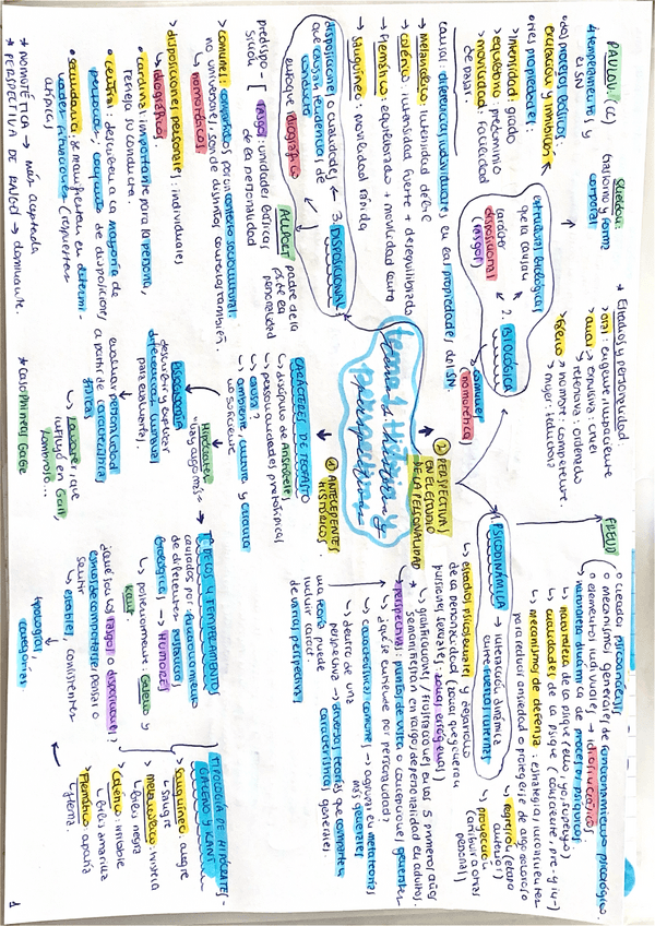 Miniatura del documento ESQUEMA-PERSONALIDAD-TEMA-1.pdf