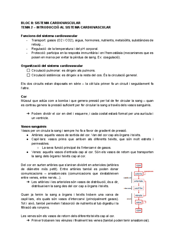 Miniatura del documento TOT-FISIOLOGIA-I-FISIOPATOLOGIA-II-PARCIAL-I-FINAL.pdf
