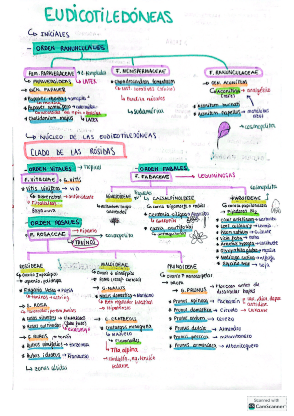Miniatura del documento TEMARIO-ESQUEMATIZADO-SEGUNDO-PARCIAL.pdf