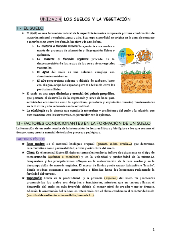 Miniatura del documento UNIDAD-4-LOS-SUELOS-Y-LA-VEGETACION.pdf