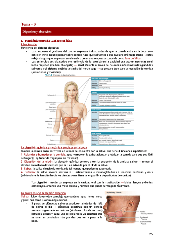 Miniatura del documento FA-3.pdf