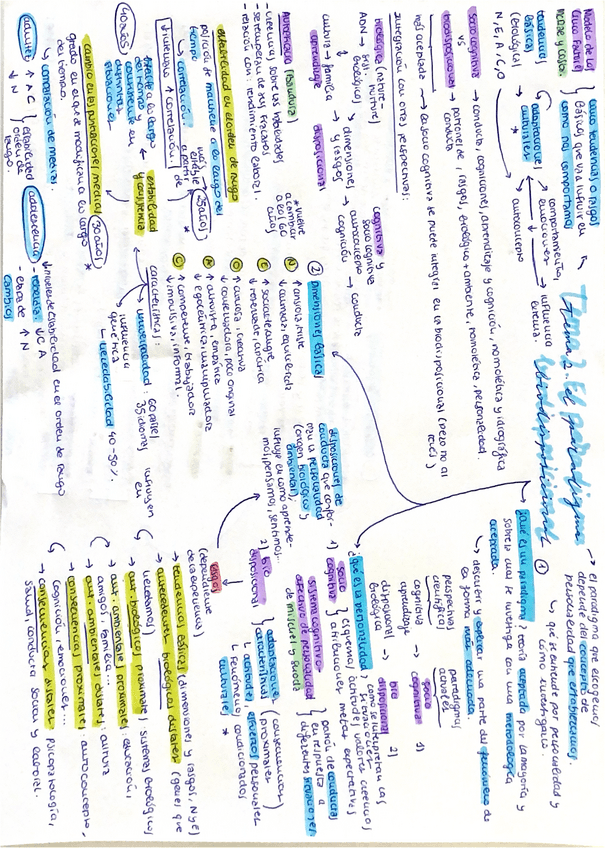 Miniatura del documento tema-2-esquema-personalidad.pdf