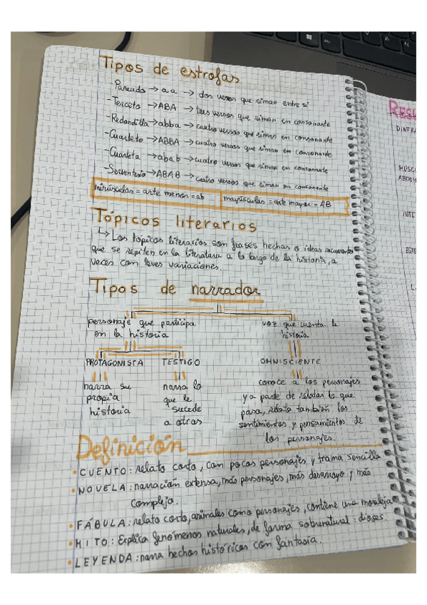 Miniatura del documento Apuntes-Lengua-Castellana.pdf