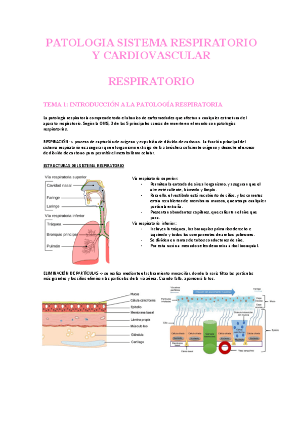Miniatura del documento bloque-respiratorio.pdf