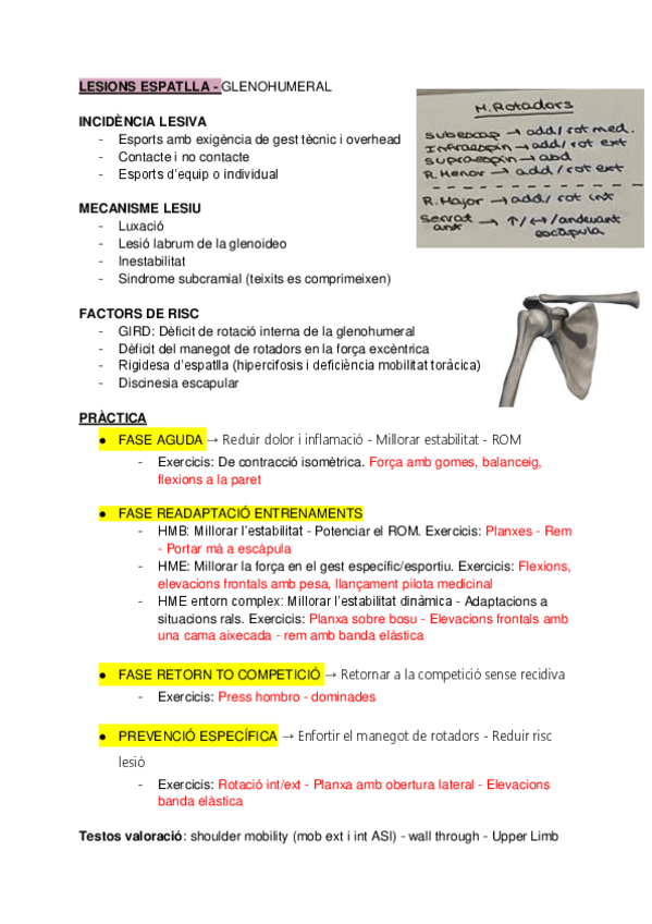Miniatura del documento LesionsPractica.pdf