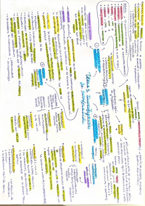 Miniatura del documento tema-3-personalidad-esquema.pdf