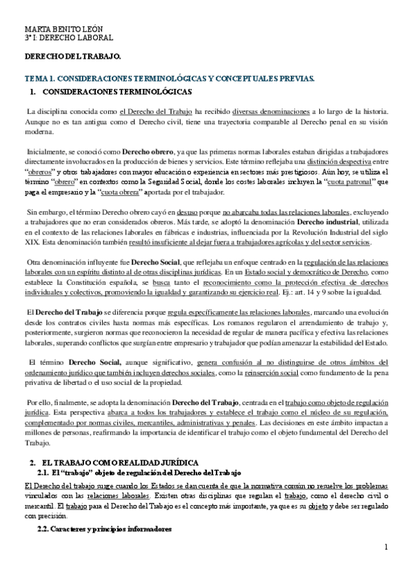 Miniatura del documento APUNTES LABORAL I.pdf