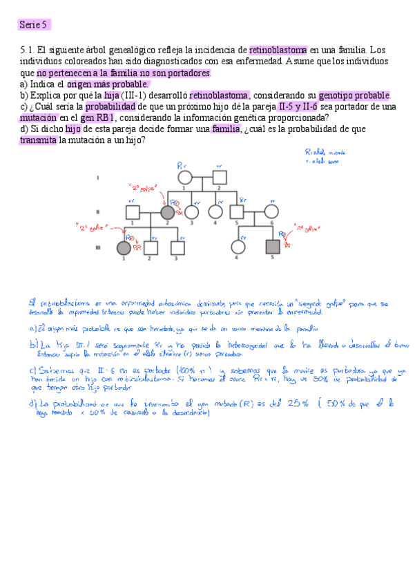 Miniatura del documento Serie-5-corregida-202425.pdf