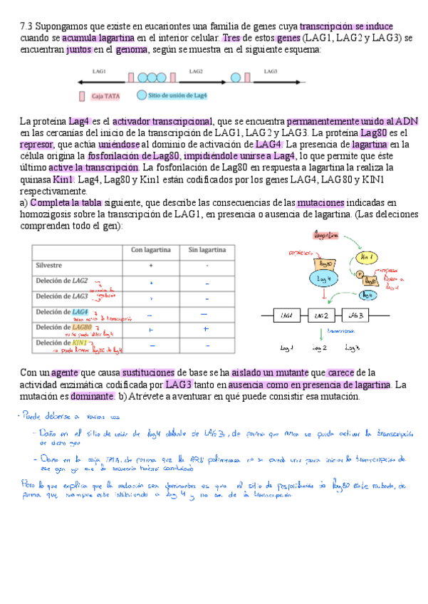 Miniatura del documento Ejercicio-extra-7.3-corregido.pdf